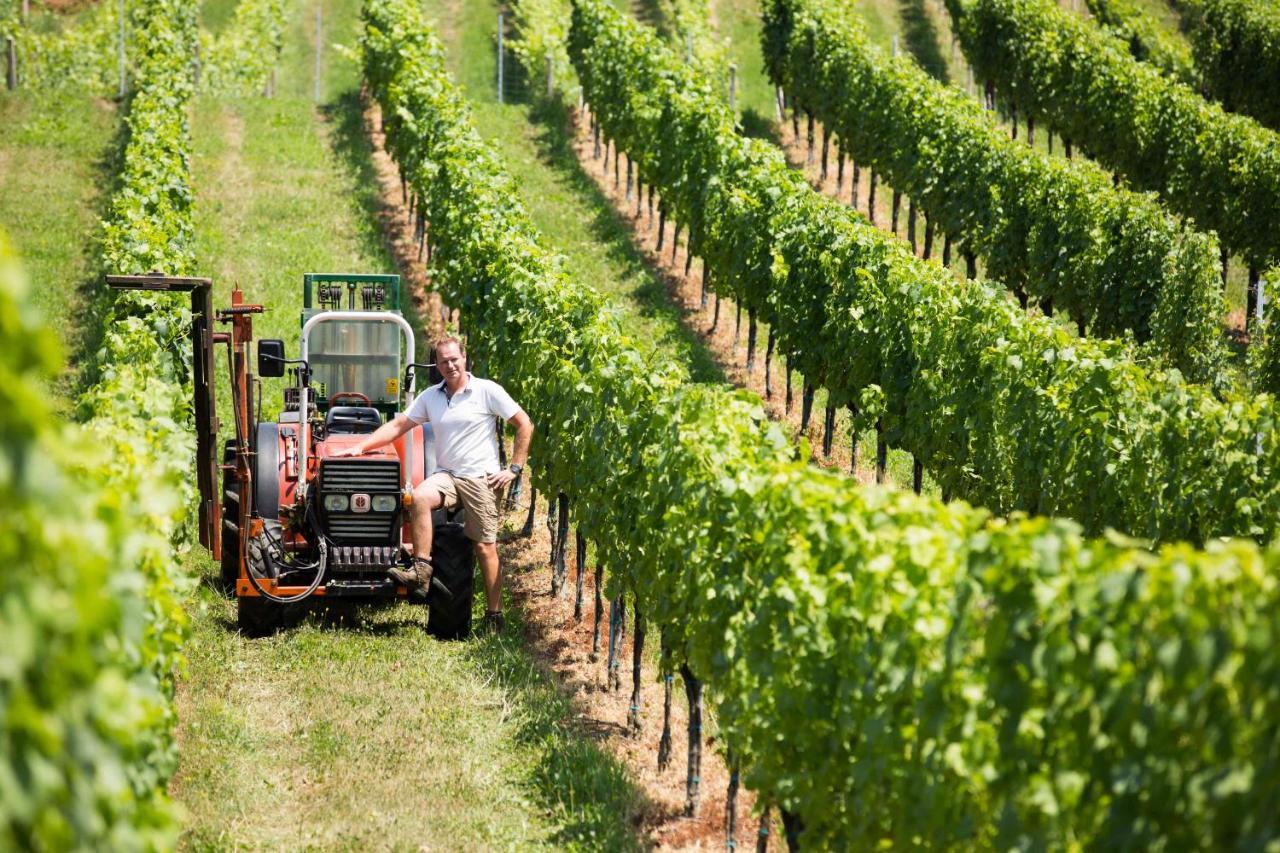 Weingut-Gaestezimmer Uhl Ratsch an der Weinstraße Exteriör bild